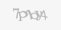 Защитный код